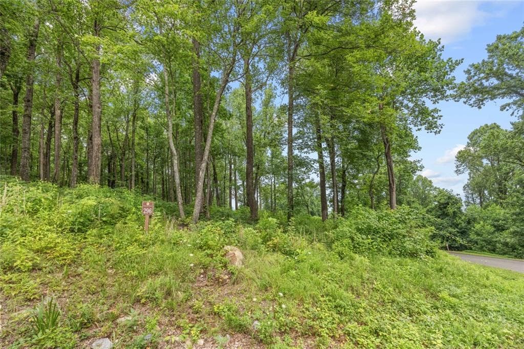 unimproved land for sale at LT 296 Andes Ridge, Ellijay, GA 30536 — photo 4