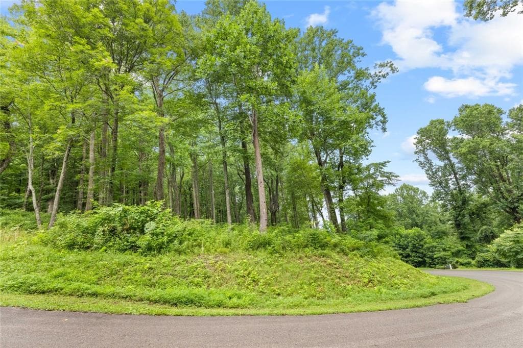 unimproved land for sale at LT 296 Andes Ridge, Ellijay, GA 30536 — photo 5
