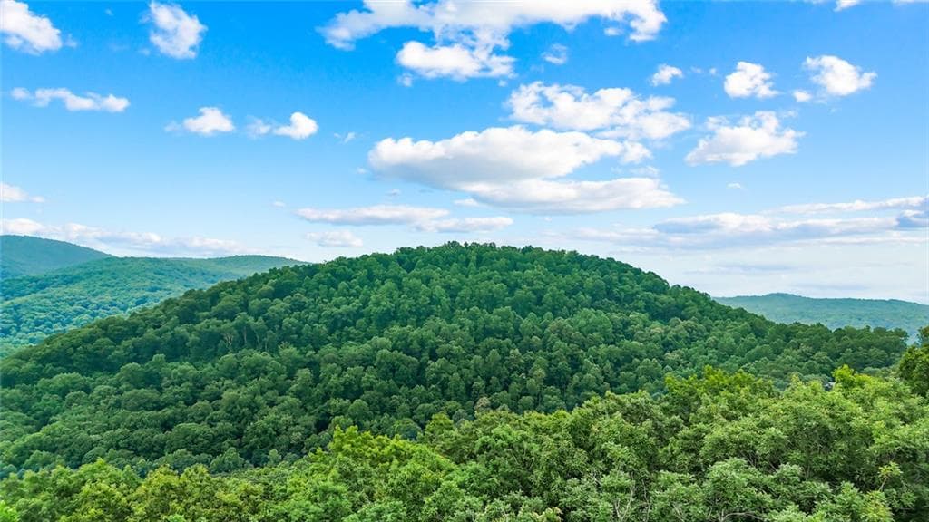 unimproved land for sale at LT 296 Andes Ridge, Ellijay, GA 30536 — photo 8
