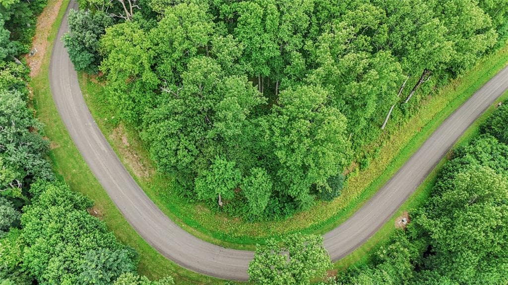 unimproved land for sale at LT 296 Andes Ridge, Ellijay, GA 30536 — photo 9