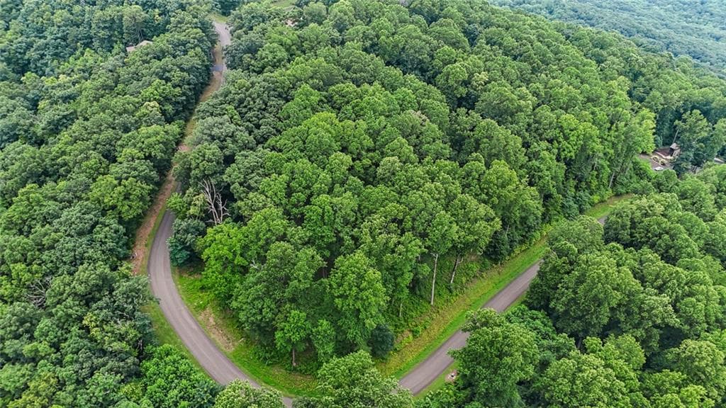 unimproved land for sale at LT 296 Andes Ridge, Ellijay, GA 30536 — photo 10