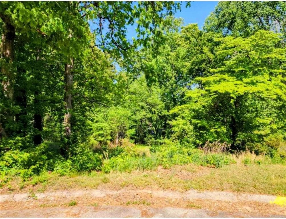 unimproved land for sale at 2612 Clay Court, Jonesboro, GA 30236 — photo 2