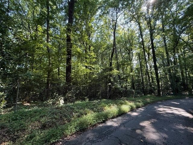 unimproved land for sale at 1541 Withmoor Terrace, Austell, GA 30168 — photo 3