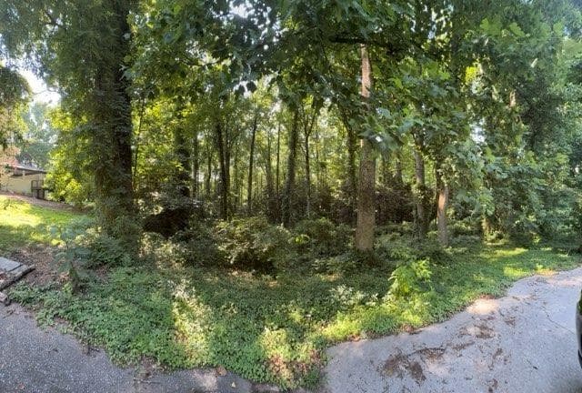 unimproved land for sale at 1541 Withmoor Terrace, Austell, GA 30168 — photo 5