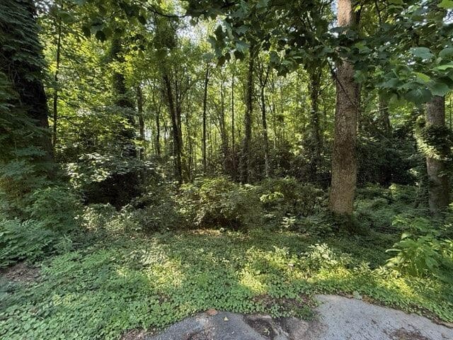 unimproved land for sale at 1541 Withmoor Terrace, Austell, GA 30168 — photo 4