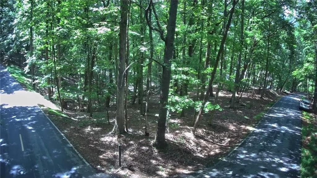 single family residence for sale at 0 Sourwood Circle, Jasper, GA 30143 — photo 3