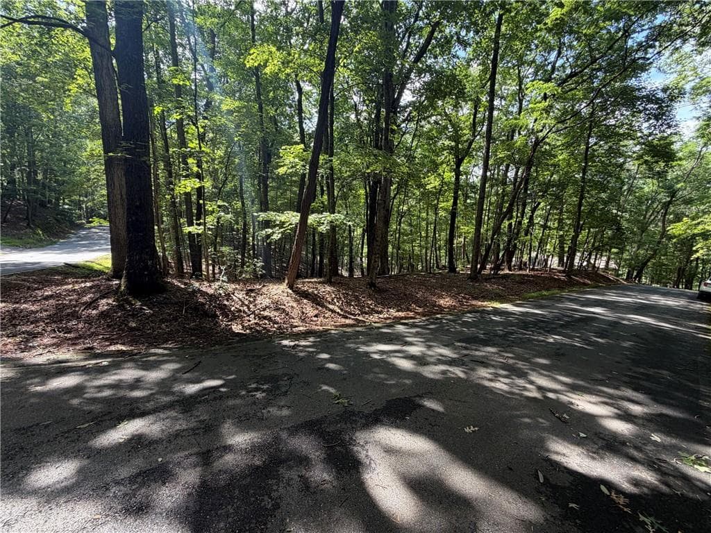 single family residence for sale at 0 Sourwood Circle, Jasper, GA 30143 — photo 4