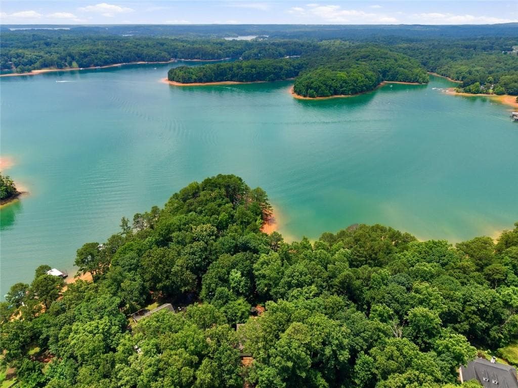 6 bedroom, 5 bathroom, 6,890 sq ft single family residence for sale at 6170 Six Mile Cove Road, Cumming, GA 30041 — photo 3