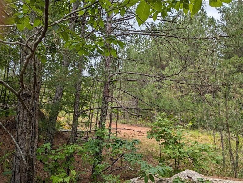 other for sale at 7900 Downs Road, Winston, GA 30187 — photo 2