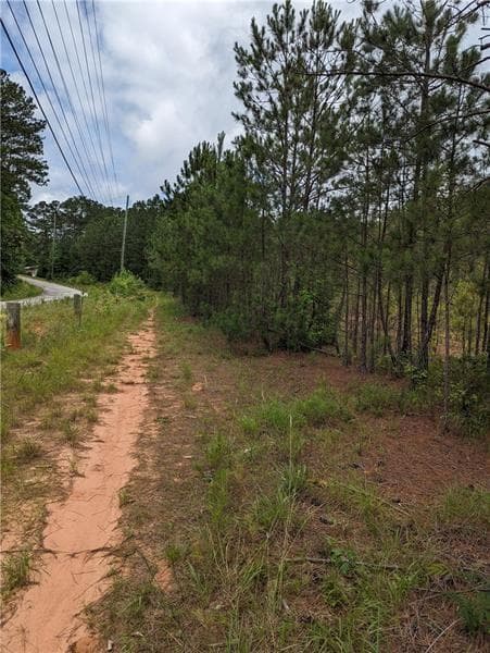 other for sale at 7900 Downs Road, Winston, GA 30187 — photo 3