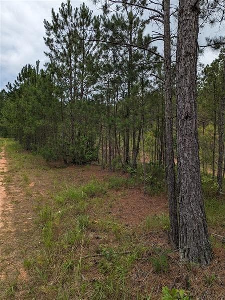 other for sale at 7900 Downs Road, Winston, GA 30187 — photo 4