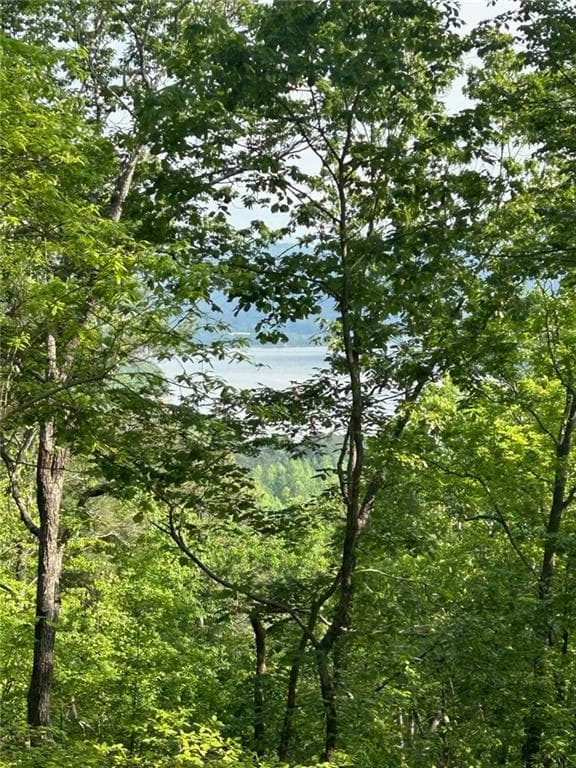 single family residence for sale at 324 Adair Drive, Ranger, GA 30734 — photo 2