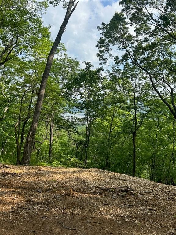 single family residence for sale at 324 Adair Drive, Ranger, GA 30734 — photo 7