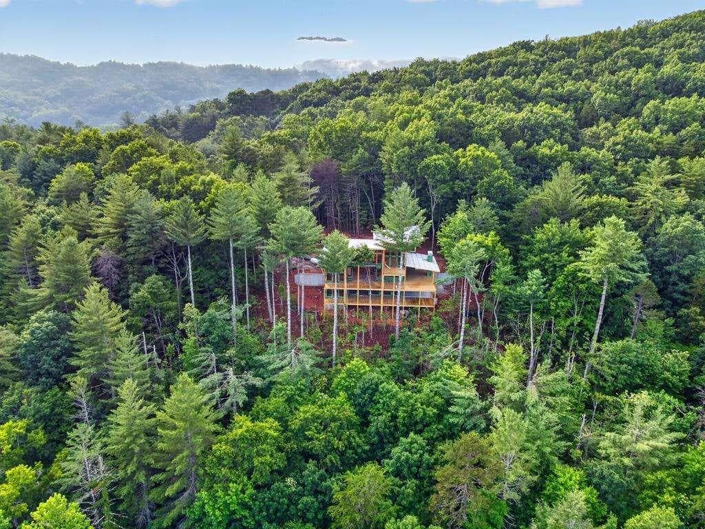 5 bedroom, 6 bathroom, 4,500 sq ft single family residence for sale at LOT 3C Stanley Creek Road, Cherry Log, GA 30522 — photo 2