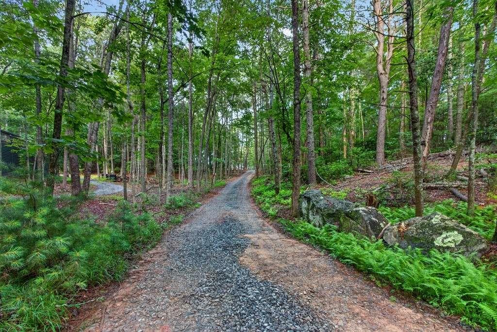 5 bedroom, 6 bathroom, 4,500 sq ft single family residence for sale at LOT 3C Stanley Creek Road, Cherry Log, GA 30522 — photo 3