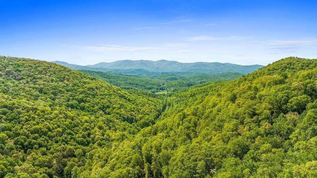 single family residence for sale at LOT 18 Cub Trail, Cherry Log, GA 30522 — photo 1 of 17