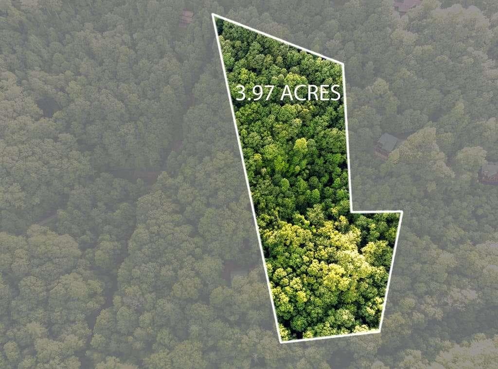 single family residence for sale at LOT 18 Cub Trail, Cherry Log, GA 30522 — photo 2