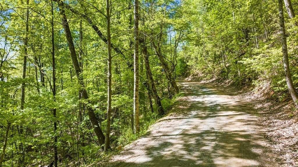 single family residence for sale at LOT 18 Cub Trail, Cherry Log, GA 30522 — photo 3