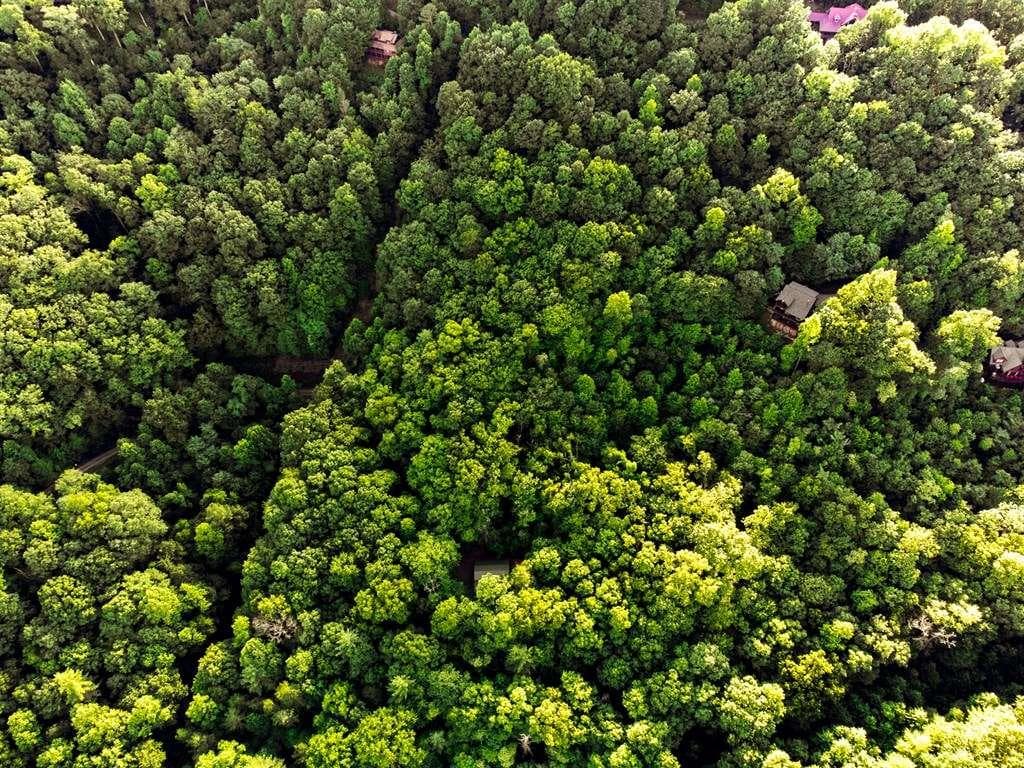 single family residence for sale at LOT 18 Cub Trail, Cherry Log, GA 30522 — photo 4