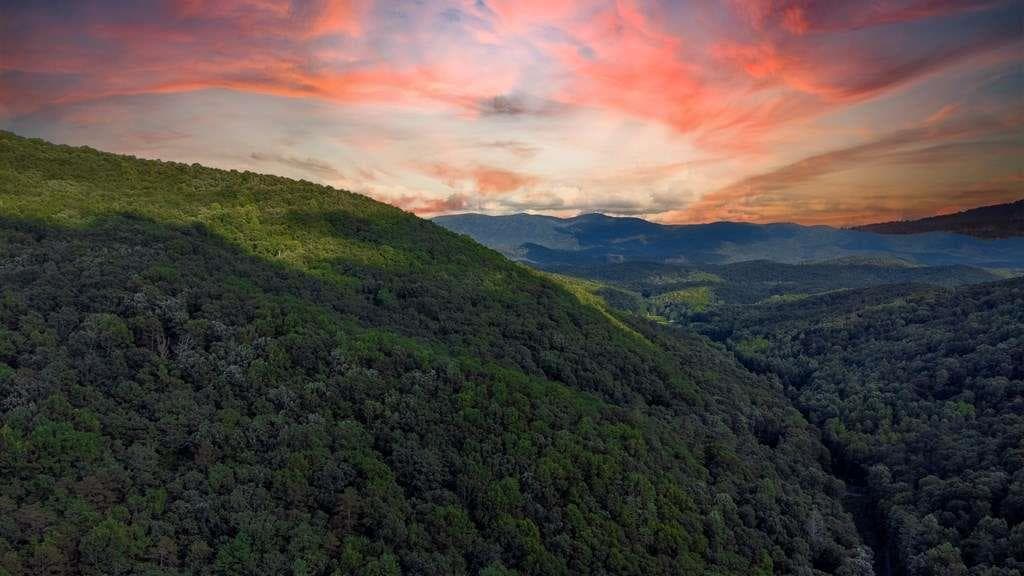 single family residence for sale at LOT 18 Cub Trail, Cherry Log, GA 30522 — photo 5