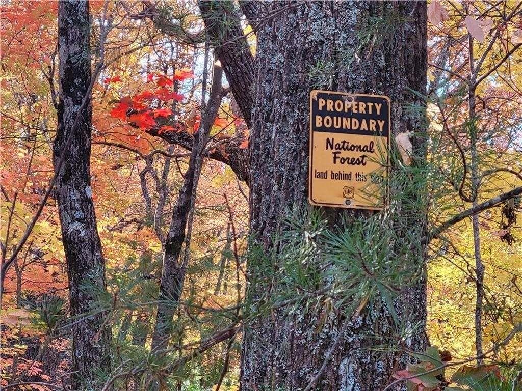 single family residence for sale at LOT 18 Cub Trail, Cherry Log, GA 30522 — photo 7