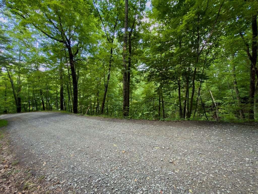 single family residence for sale at LOT 18 Cub Trail, Cherry Log, GA 30522 — photo 9