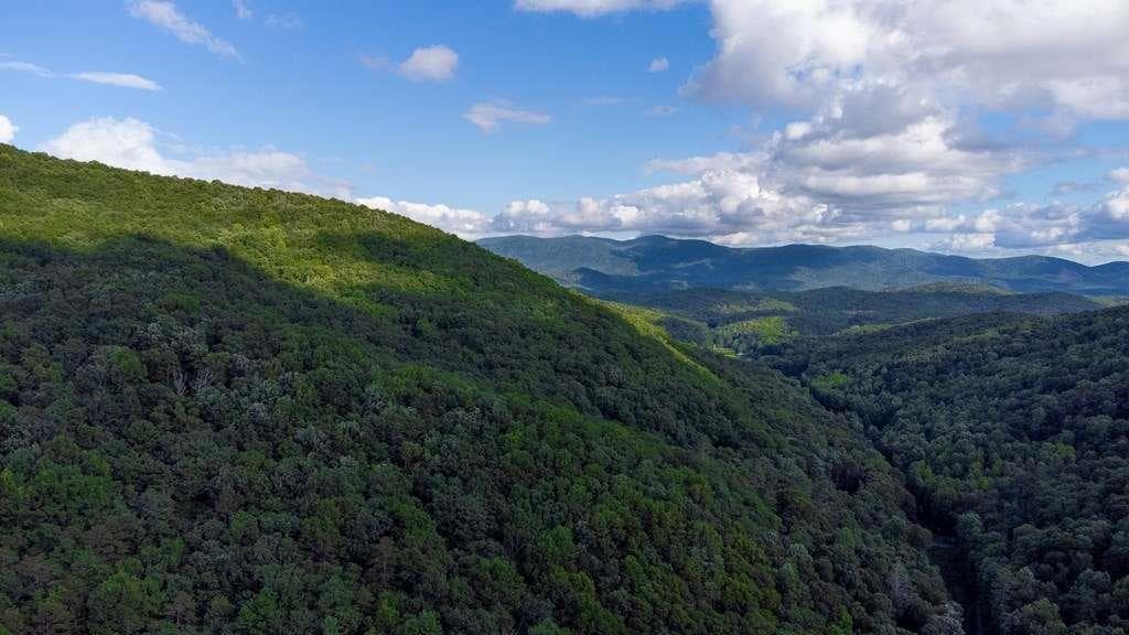 single family residence for sale at LOT 18 Cub Trail, Cherry Log, GA 30522 — photo 10
