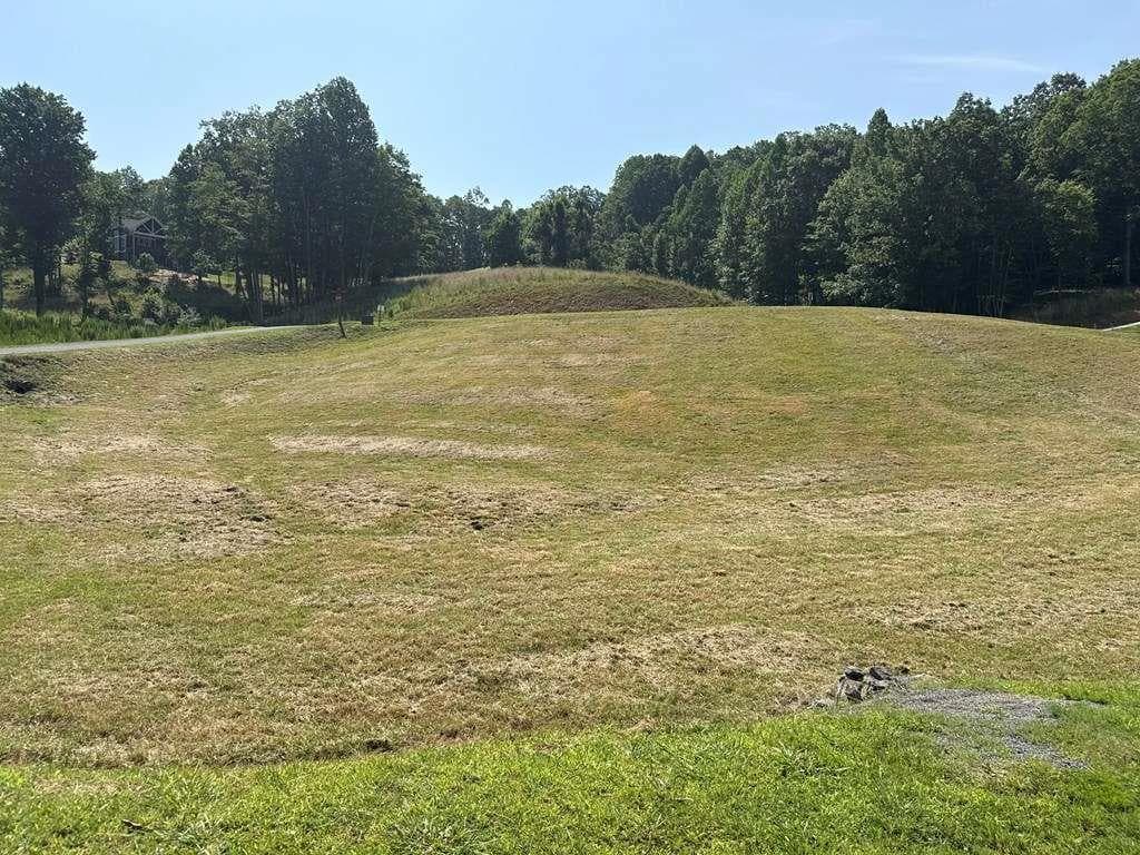 single family residence for sale at LOT 29 Big Valley Overlook, Morganton, GA 30560 — photo 2