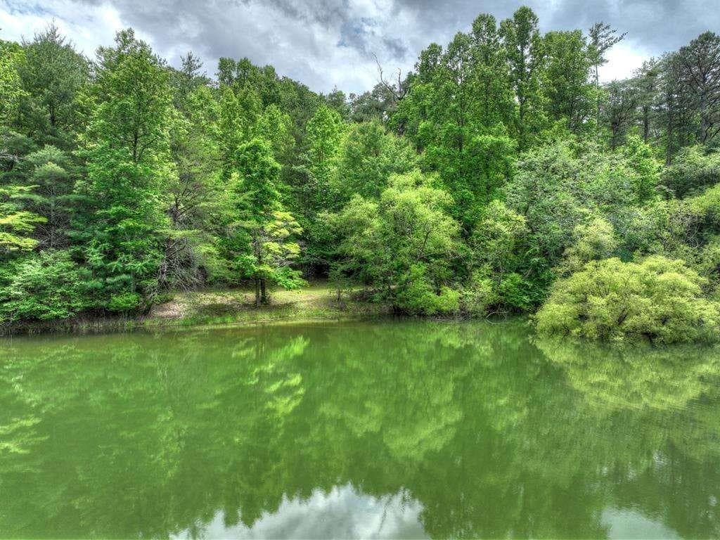 3 bedroom, 2 bathroom, 2,059 sq ft single family residence for sale at 102 Captains Cove, Blairsville, GA 30512 — photo 4
