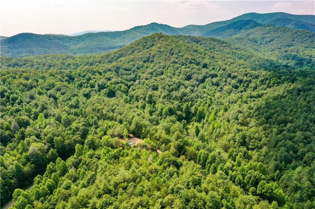 unimproved land for sale at 0 Flagpole Circle, Ellijay, GA 30540 — photo 3