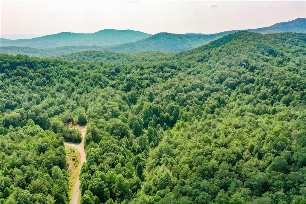 unimproved land for sale at 0 Flagpole Circle, Ellijay, GA 30540 — photo 4