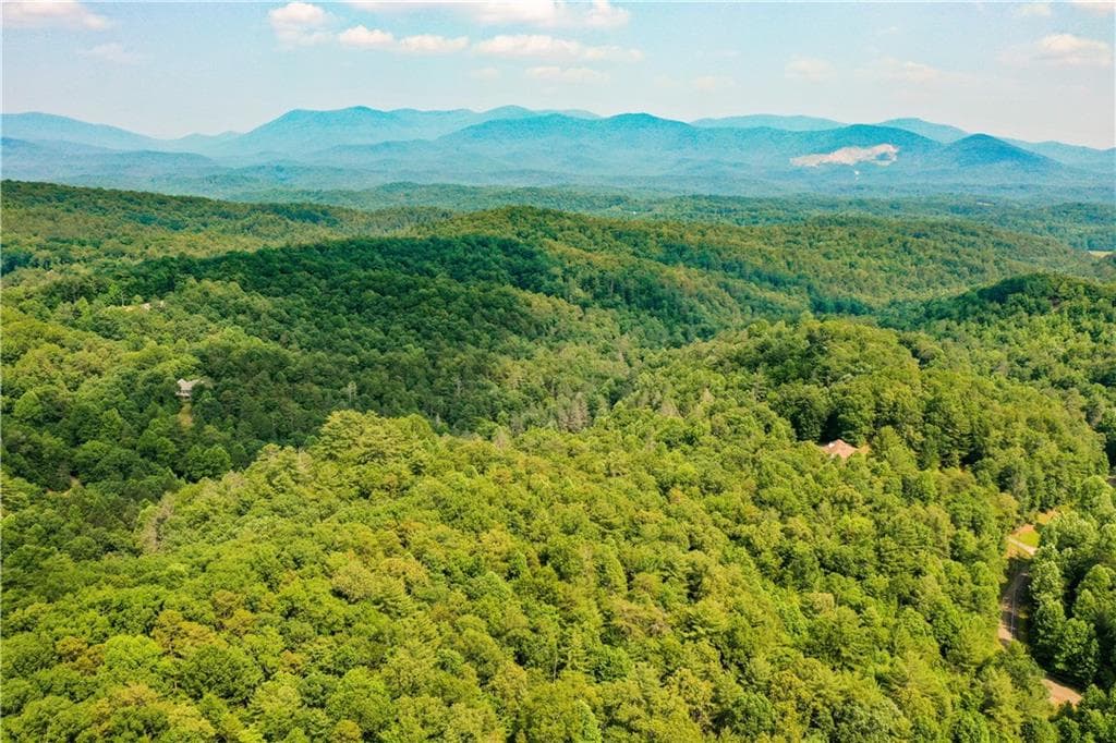 unimproved land for sale at 0 Flagpole Circle, Ellijay, GA 30540 — photo 5