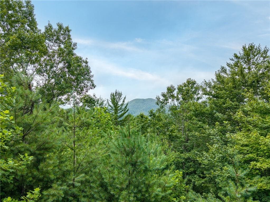 3 bedroom, 2 bathroom, 1,821 sq ft single family residence for sale at 51 Hightower Trail, Hiawassee, GA 30546 — photo 9