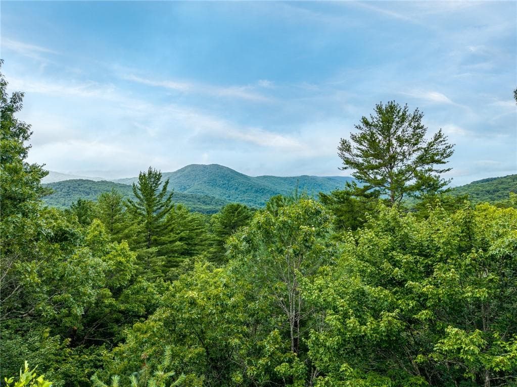 3 bedroom, 2 bathroom, 1,821 sq ft single family residence for sale at 51 Hightower Trail, Hiawassee, GA 30546 — photo 10