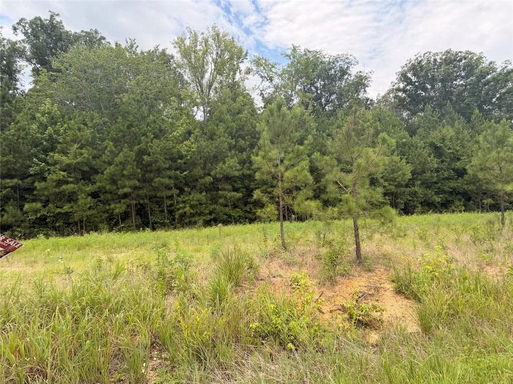 unimproved land for sale at Lot 58 County Road 32, Piedmont, AL 36272