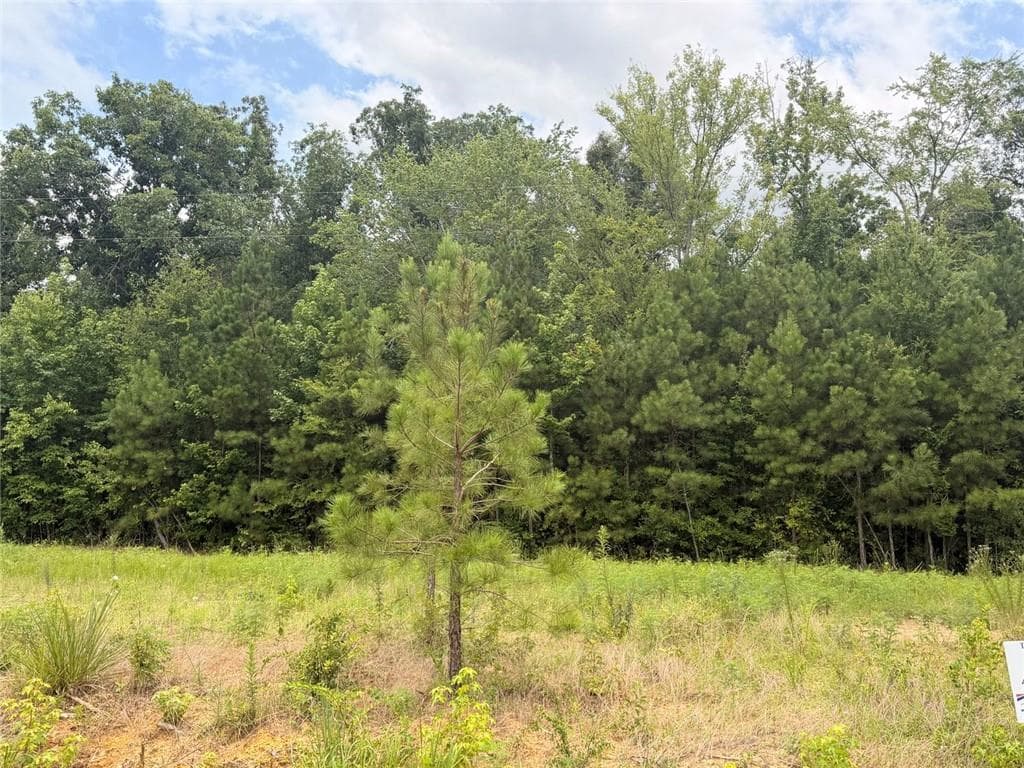 unimproved land for sale at Lot 58 County Road 32, Piedmont, AL 36272 — photo 2