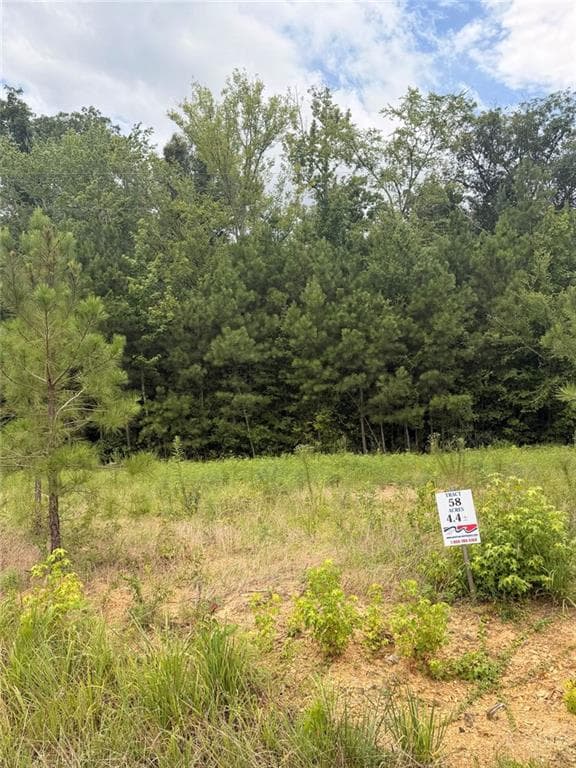 unimproved land for sale at Lot 58 County Road 32, Piedmont, AL 36272 — photo 3