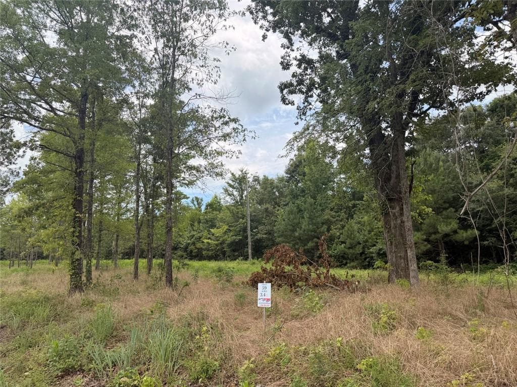 unimproved land for sale at Lot 59 County Road 32, Piedmont, AL 36272
