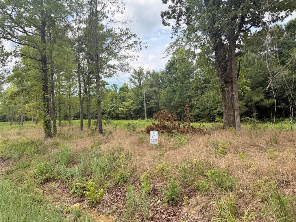 unimproved land for sale at Lot 59 County Road 32, Piedmont, AL 36272 — photo 2