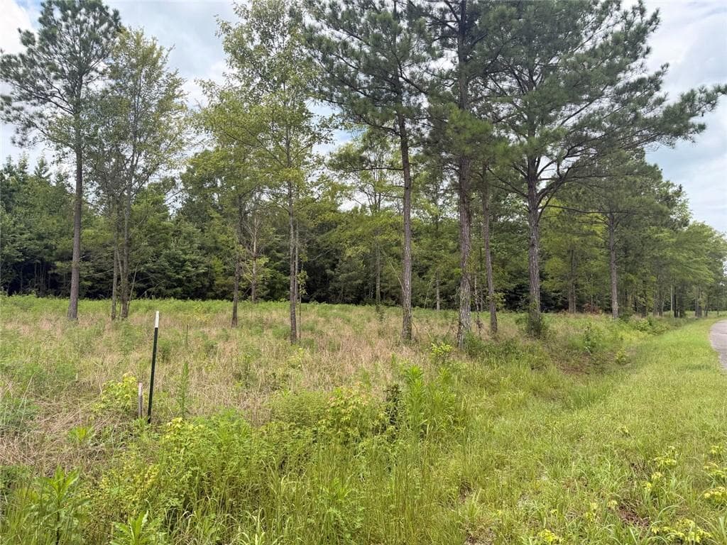 unimproved land for sale at Lot 59 County Road 32, Piedmont, AL 36272 — photo 3