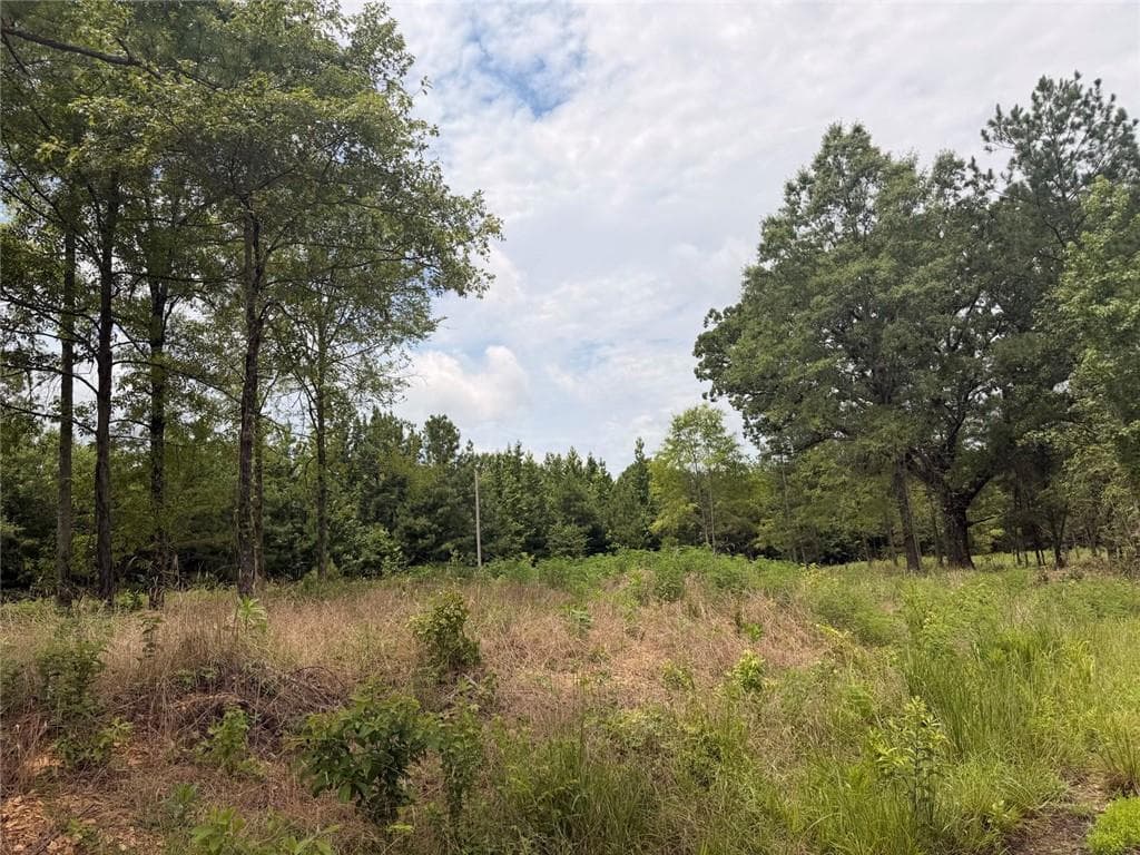 unimproved land for sale at Lot 60 County Road 32, Piedmont, AL 36272