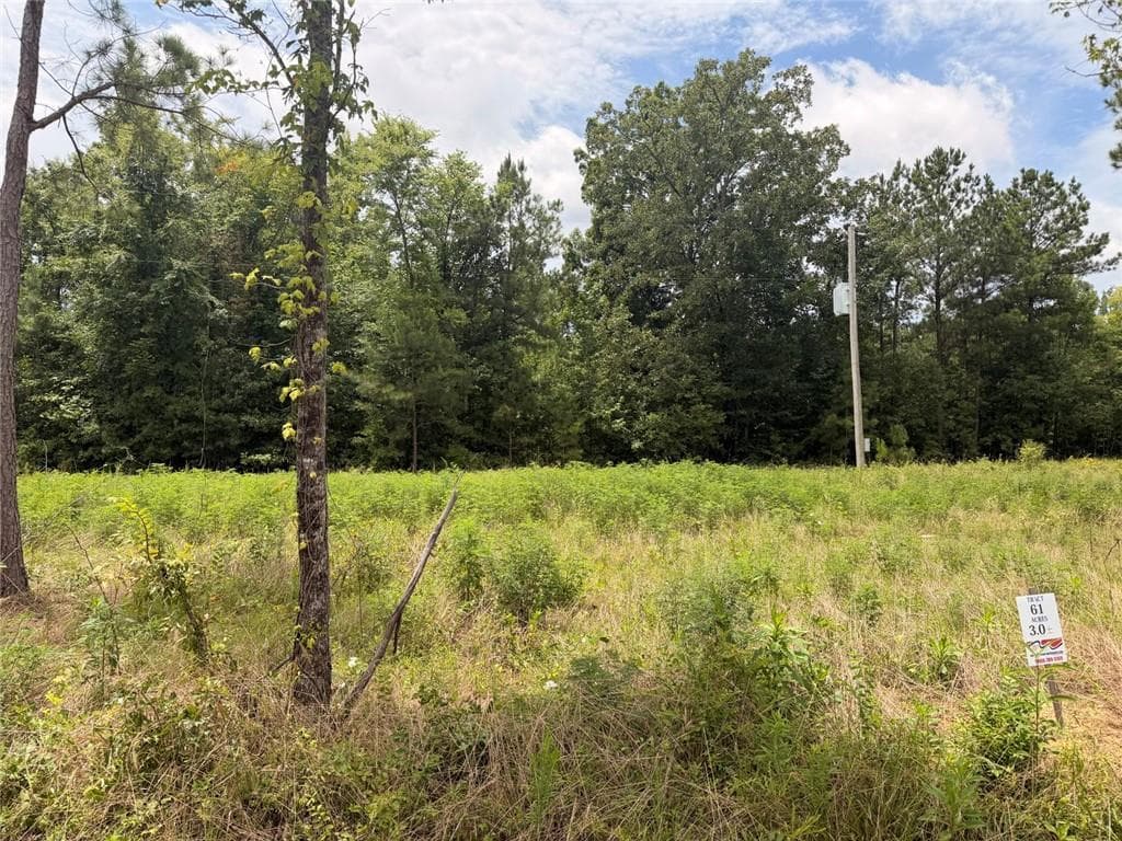 unimproved land for sale at Lot 60 County Road 32, Piedmont, AL 36272 — photo 2