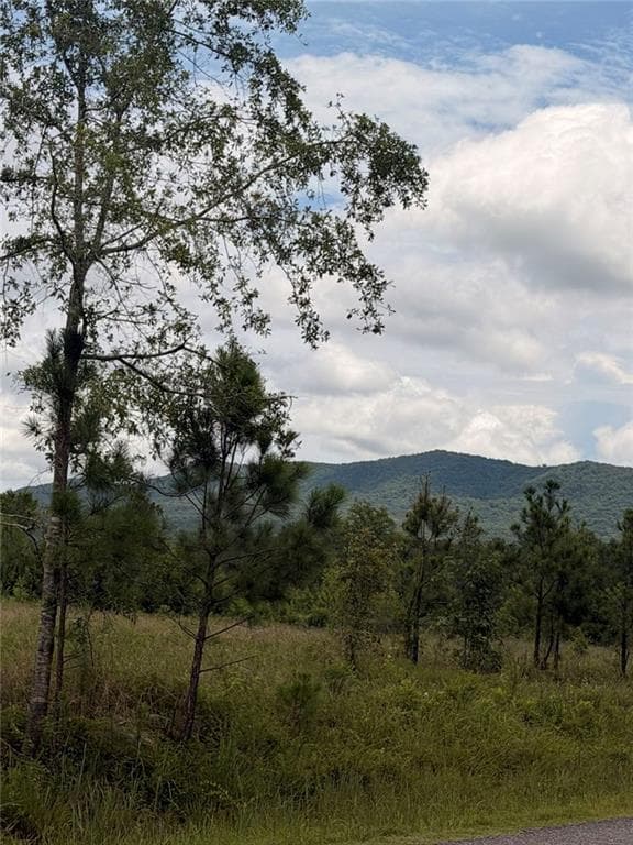 unimproved land for sale at Lot 61 County Road 32, Piedmont, AL 36272 — photo 2