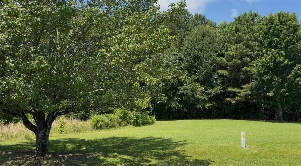 other for sale at 155 County Road 424, Centre, AL 35960 — photo 3