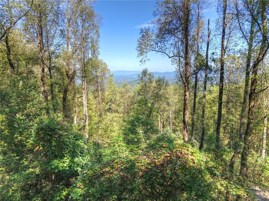unimproved land for sale at LT 296 Andes Ridge, Ellijay, GA 30536 — photo 1 of 21