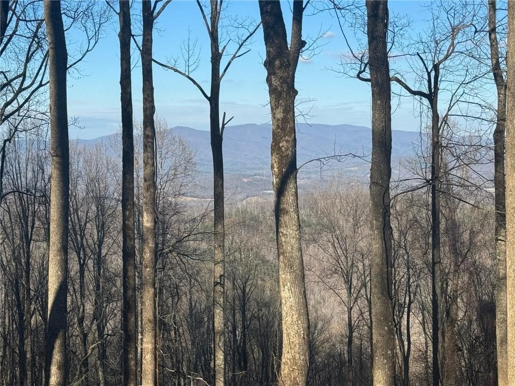 unimproved land for sale at LT 296 Andes Ridge, Ellijay, GA 30536 — photo 2