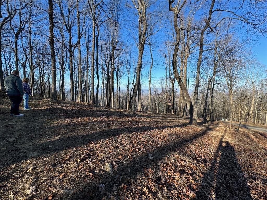 unimproved land for sale at LT 296 Andes Ridge, Ellijay, GA 30536 — photo 6
