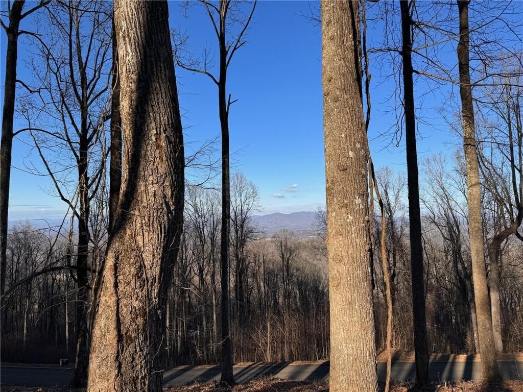 unimproved land for sale at LT 296 Andes Ridge, Ellijay, GA 30536 — photo 7