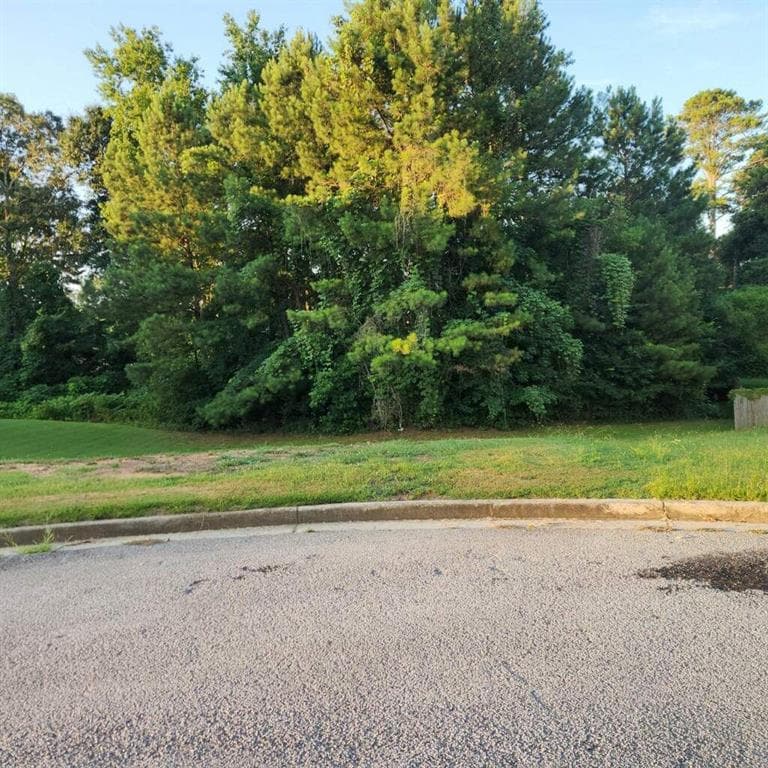 unimproved land for sale at 1751 Lake Edge Circle, Conley, GA 30288 — photo 2