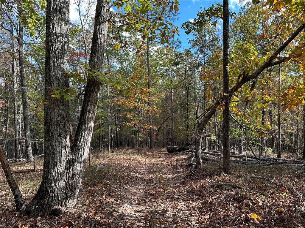 2 bedroom, 2 bathroom, 507 sq ft single family residence for sale at 1806 Browning Road, Rockmart, GA 30153 — photo 8